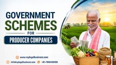 Government Schemes for Producer Companies